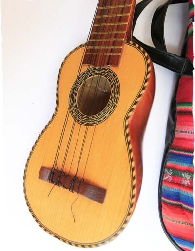 Charango guitar