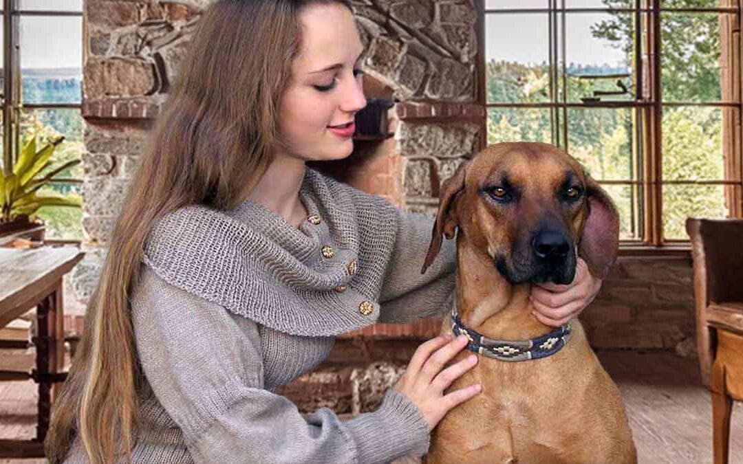 Knitted Dresses: Incredible Style and Number 1 for Comfort in the Cold Season