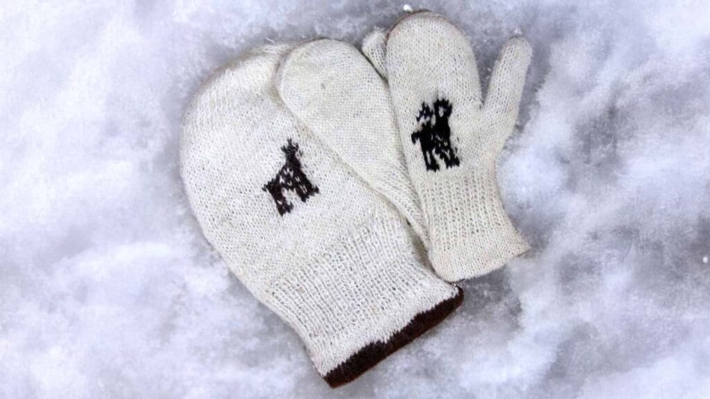 Winter Wool Accessories