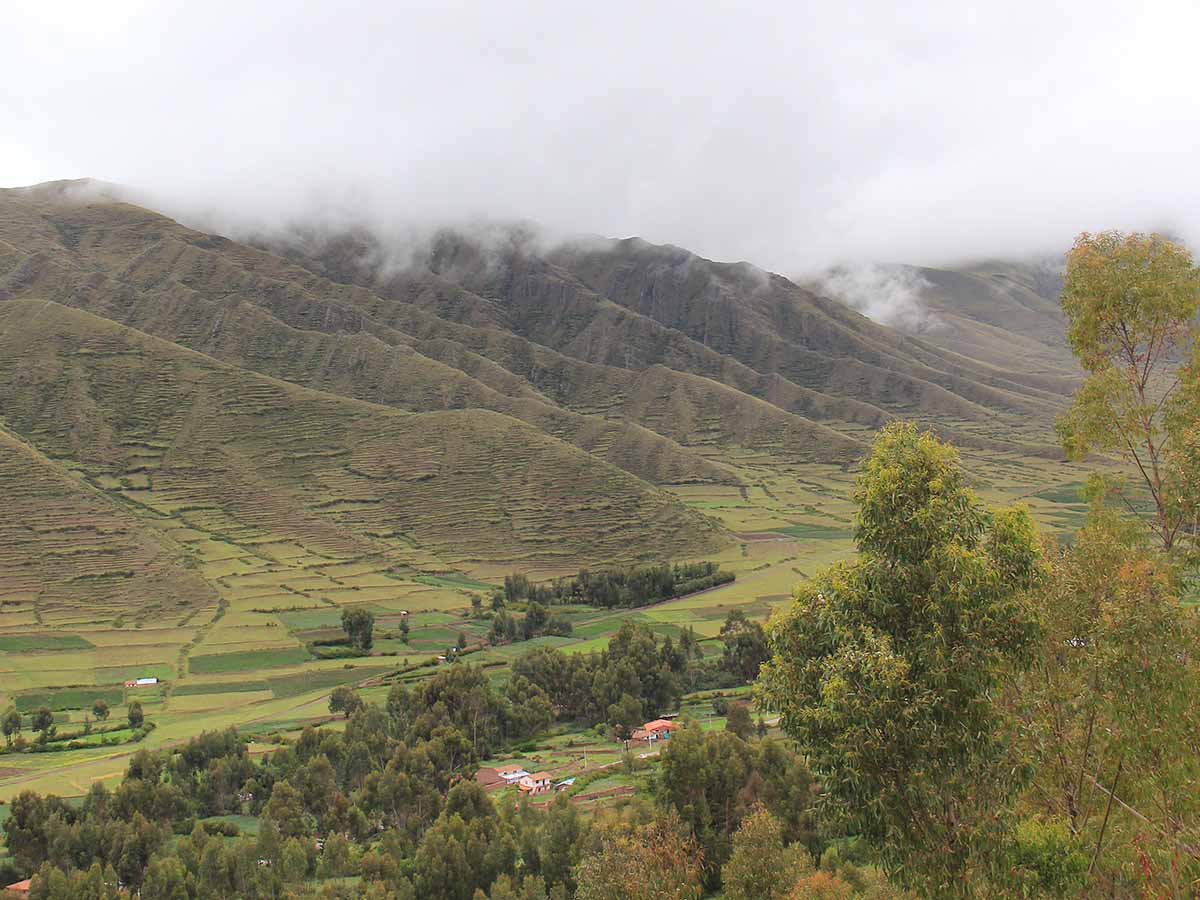 Andean Landscape